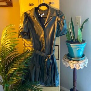 Trendy Puff Sleeve Dress